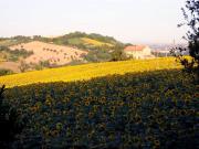 foto SV02043