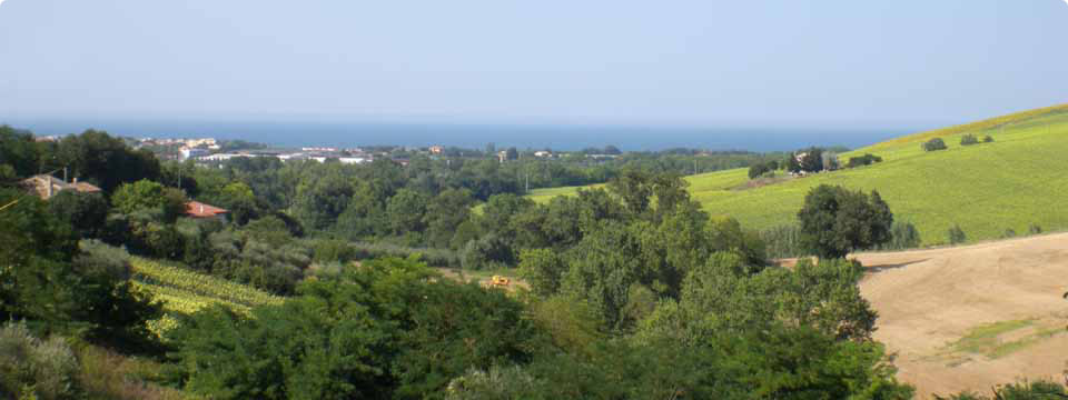 Proposte in campagna