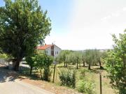 CASA A SENIGALLIA: Zona San Silvestro, soluzione cielo-terra in bifamiliare di mq 196 (cucina, soggiorno, 2 camere, bagno) + mansarda con bagno, garage, taverna e corte di mq 2500, ristrutturazione recente, impianto fotovoltaico