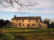 CORINALDO-Zona Sant'Apollonia- Casale di complessivi mq.300 con 3000 metri di terreno. Da ristrutturare completamente.
Possibilità di acquistare ulterioro 5 ha di terreno.