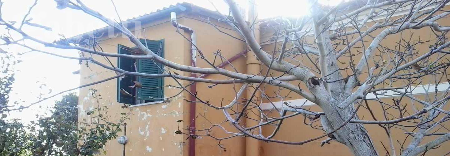 Fotografia principale Immobile[SV02548]: SENIGALLIA : Casa colonica di mq 90 su due livelli + annessi e terreno di mq. 750 -  Euro 95.000,00 !!